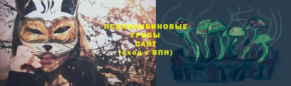 трава Горнозаводск