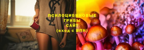 первитин Горняк