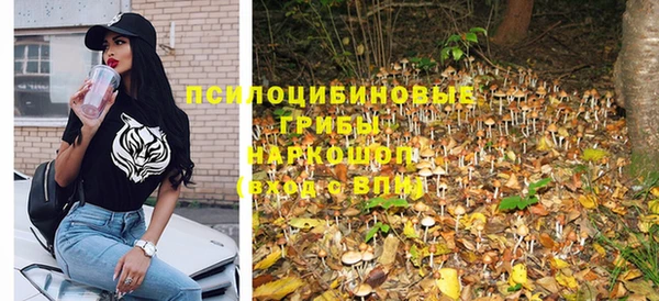 первитин Горняк
