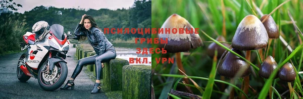 первитин Горняк
