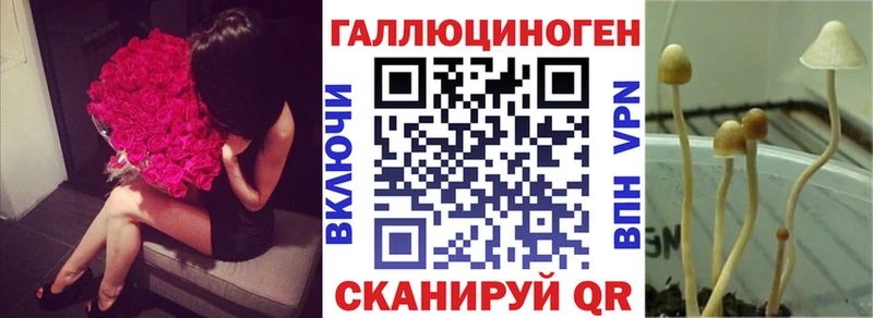 Галлюциногенные грибы Psilocybe  Купить  Сасово 